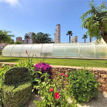Gemelos 22-1-16 Benidorm Ngoại thất bức ảnh
